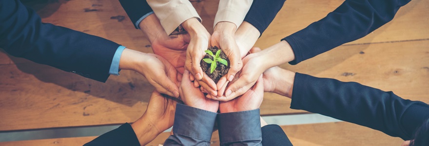 Sustentabilidade no Ambiente Corporativo