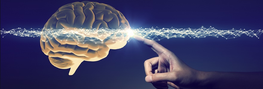Neurociência e Psicologia