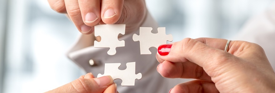 Sinergia Empresarial