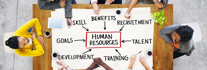 Recursos Humanos