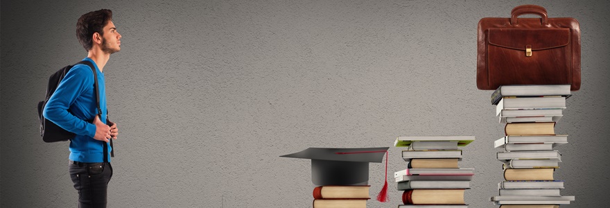 livros sobre desenvolvimento