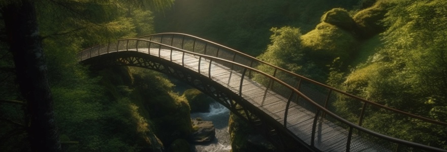 A Ponte Definitiva: Jung e a Psicologia Marquesiana na Cura das 9 Dores da Alma