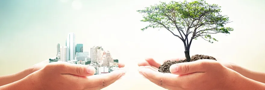 empreendedorismo-sustentavel