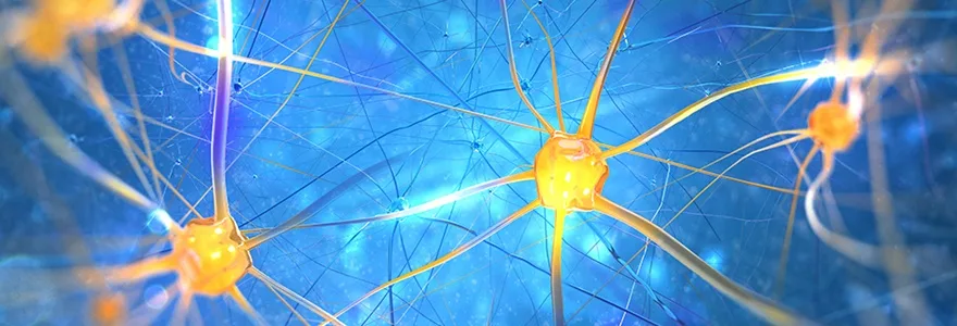 neurocoaching